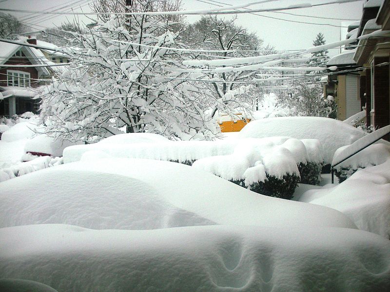 Snow in Pittsburgh 2010; from Wikimedia Commons